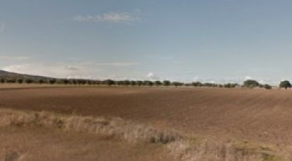 Terrain agricole à Beringel de 42 229 m²