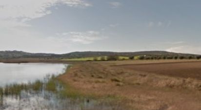 Terrain agricole à Beringel de 42 229 m²