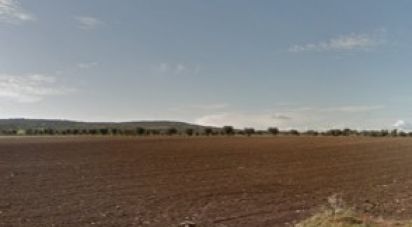 Terrain agricole à Beringel de 42 229 m²