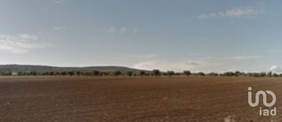 Terreno rústico em Beringel de 42 229 m²