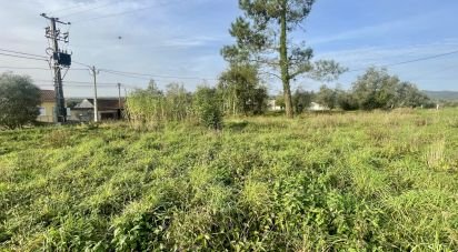 Terrain à Arrifana de 270 m²