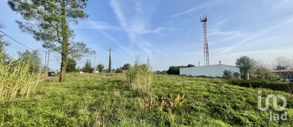 Terreno em Arrifana de 270 m²