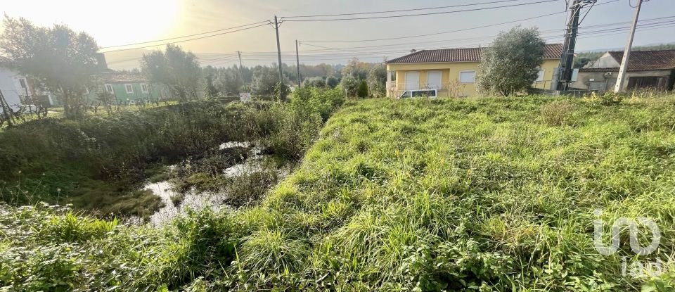 Terreno em Arrifana de 270 m²