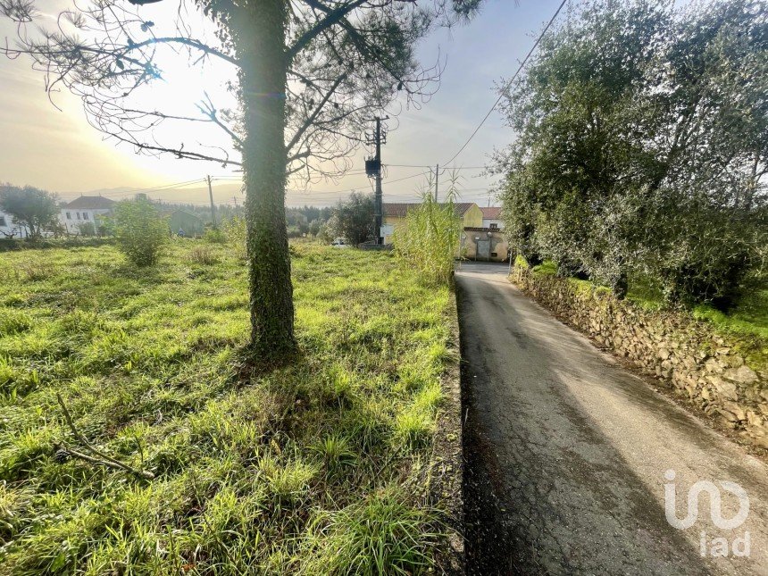 Terreno em Arrifana de 270 m²