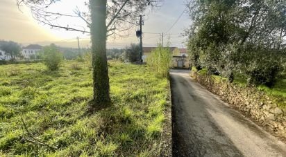 Terrain à Arrifana de 270 m²