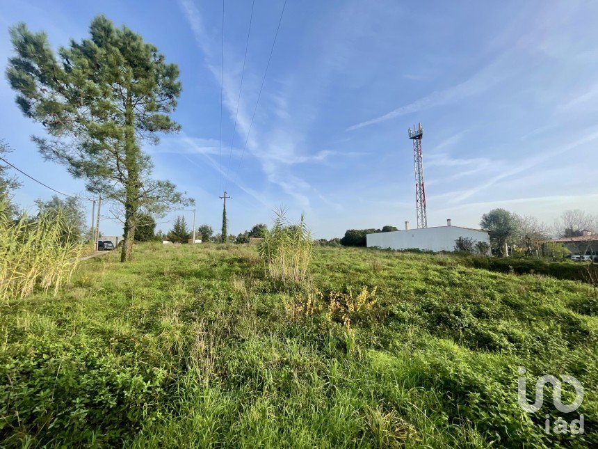 Terreno em Arrifana de 270 m²