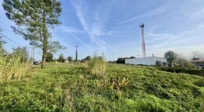 Terrain à Arrifana de 270 m²