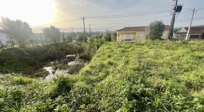 Terrain à Arrifana de 270 m²