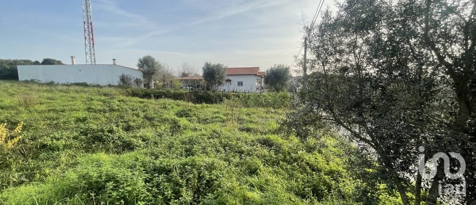 Terreno em Arrifana de 270 m²