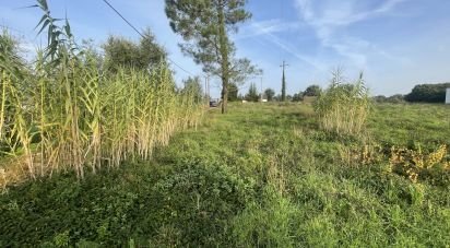 Terrain à Arrifana de 270 m²