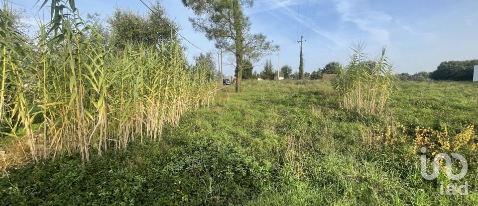 Terreno em Arrifana de 270 m²