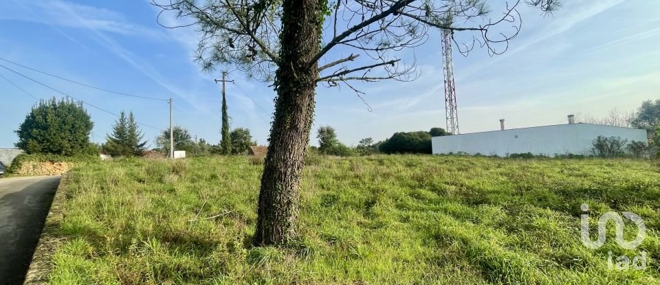 Terreno em Arrifana de 370 m²