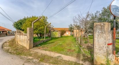 Traditional house T5 in Tomar (São João Baptista) e Santa Maria dos Olivais of 185 m²