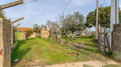 Maison traditionnelle T5 à Tomar (São João Baptista) e Santa Maria dos Olivais de 185 m²