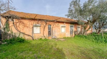 Maison traditionnelle T5 à Tomar (São João Baptista) e Santa Maria dos Olivais de 185 m²