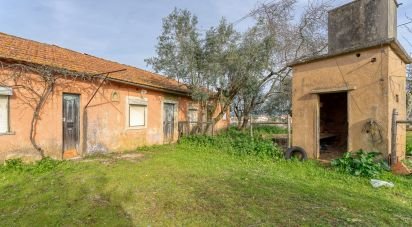 Maison traditionnelle T5 à Tomar (São João Baptista) e Santa Maria dos Olivais de 185 m²