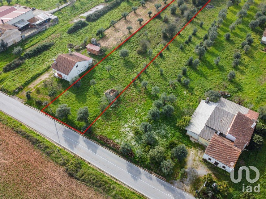 Terrain à Areias e Pias de 5 800 m²