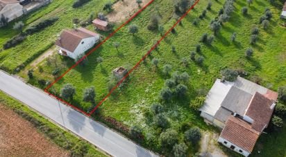 Land in Areias e Pias of 5,800 m²