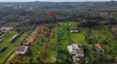 Land in Areias e Pias of 5,800 m²