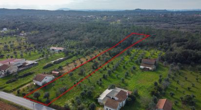 Land in Areias e Pias of 5,800 m²