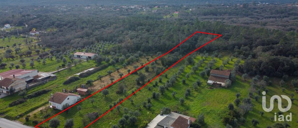 Terrain à Areias e Pias de 5 800 m²