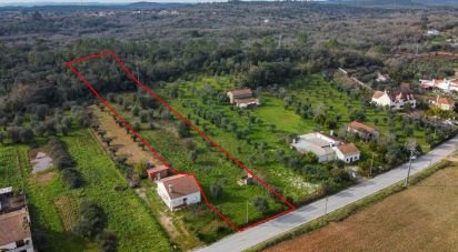 Terrain à Areias e Pias de 5 800 m²