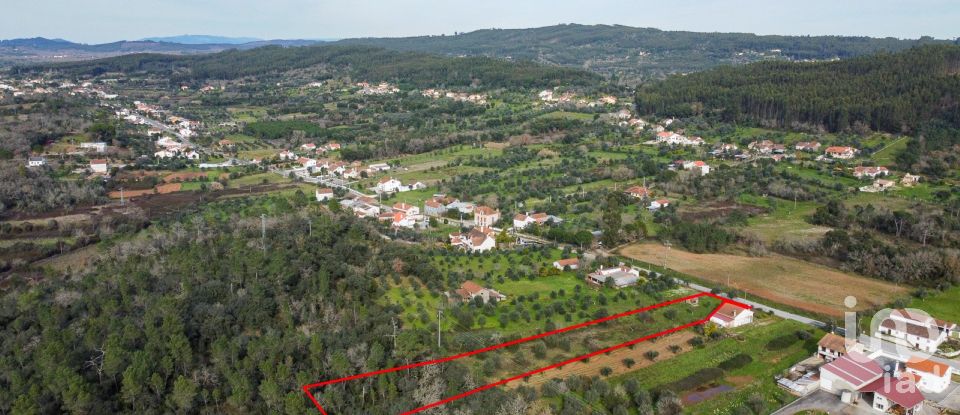 Terrain à Areias e Pias de 5 800 m²