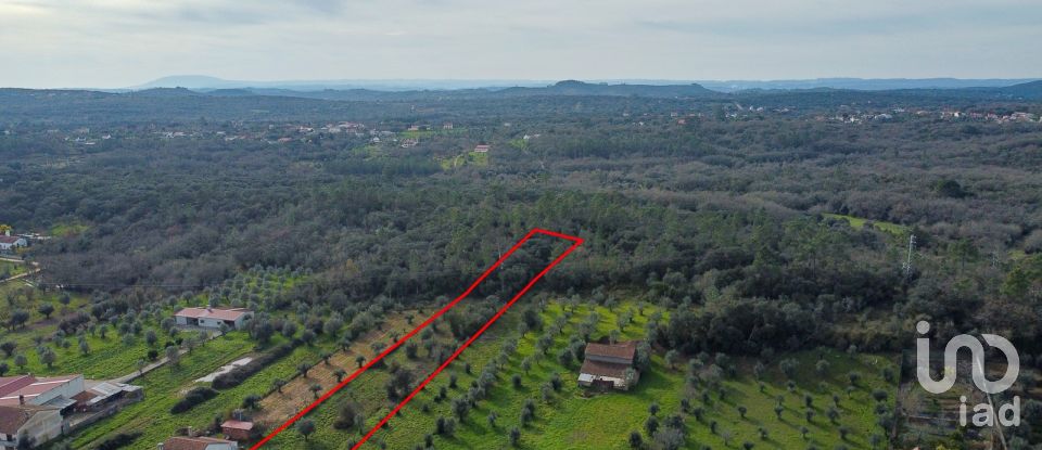 Terrain à Areias e Pias de 5 800 m²