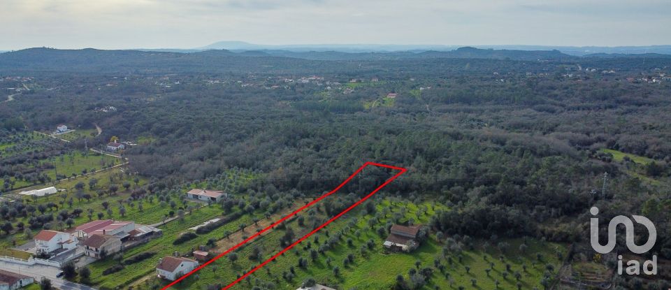 Terrain à Areias e Pias de 5 800 m²