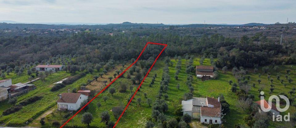 Terrain à Areias e Pias de 5 800 m²