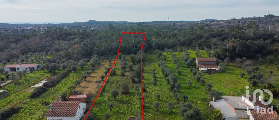 Terrain à Areias e Pias de 5 800 m²