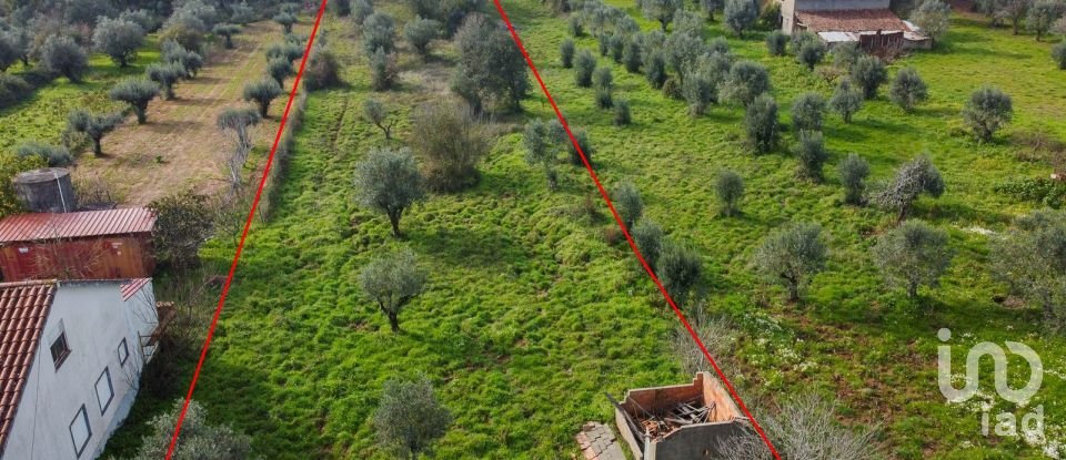 Terrain à Areias e Pias de 5 800 m²