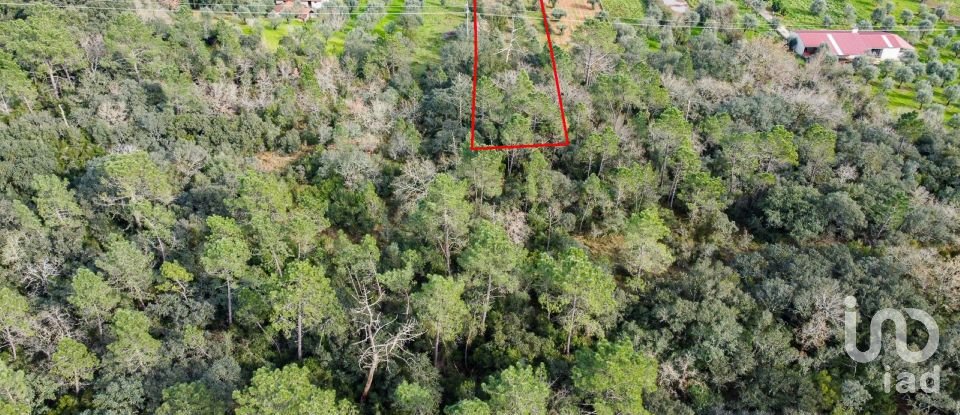 Terrain à Areias e Pias de 5 800 m²