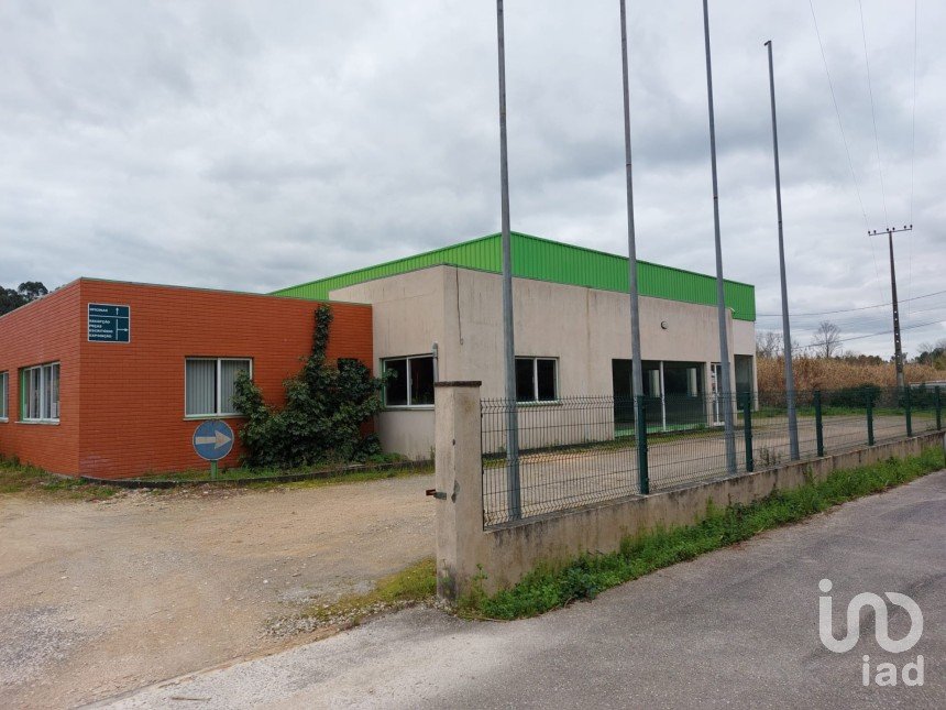 Boutique/Local commercial à Cantanhede e Pocariça de 828 m²