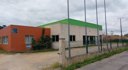 Boutique/Local commercial à Cantanhede e Pocariça de 828 m²