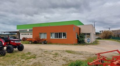 Boutique/Local commercial à Cantanhede e Pocariça de 828 m²