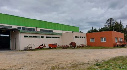 Boutique/Local commercial à Cantanhede e Pocariça de 828 m²