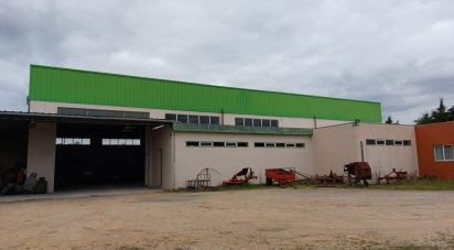 Boutique/Local commercial à Cantanhede e Pocariça de 828 m²