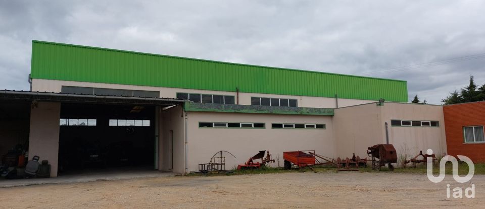 Boutique/Local commercial à Cantanhede e Pocariça de 828 m²