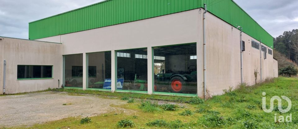 Boutique/Local commercial à Cantanhede e Pocariça de 828 m²