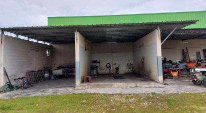 Boutique/Local commercial à Cantanhede e Pocariça de 828 m²