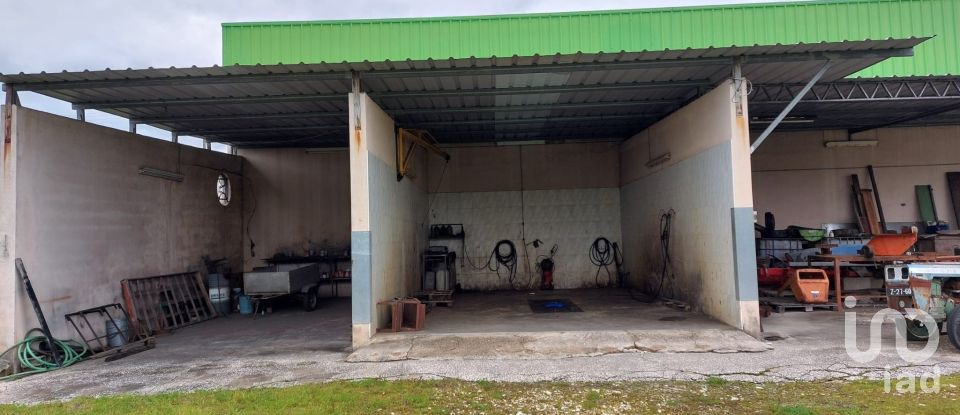 Boutique/Local commercial à Cantanhede e Pocariça de 828 m²