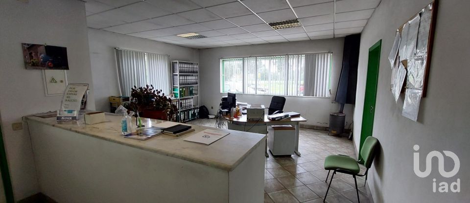 Boutique/Local commercial à Cantanhede e Pocariça de 828 m²