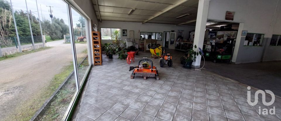 Boutique/Local commercial à Cantanhede e Pocariça de 828 m²