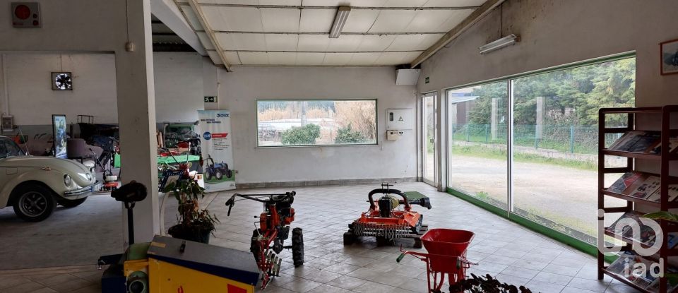 Boutique/Local commercial à Cantanhede e Pocariça de 828 m²