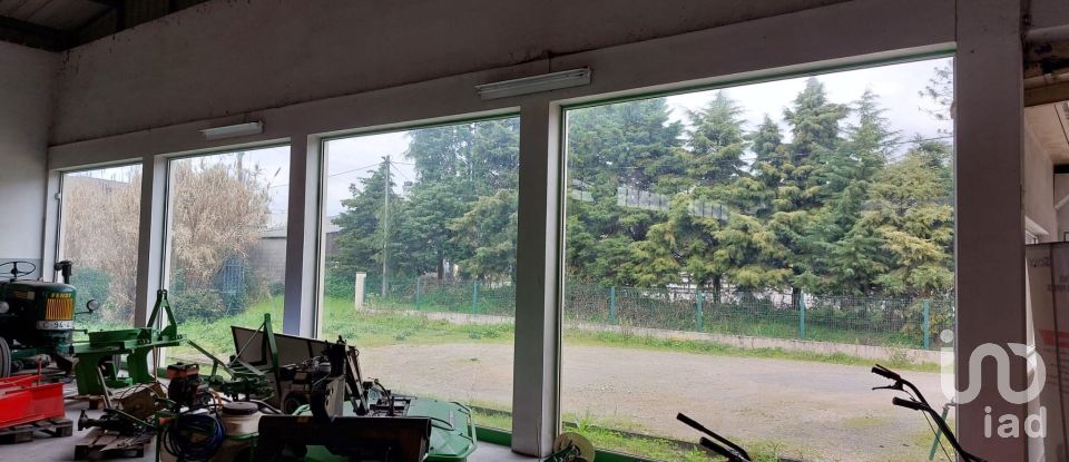 Boutique/Local commercial à Cantanhede e Pocariça de 828 m²