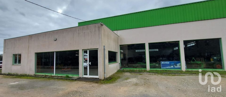 Boutique/Local commercial à Cantanhede e Pocariça de 828 m²
