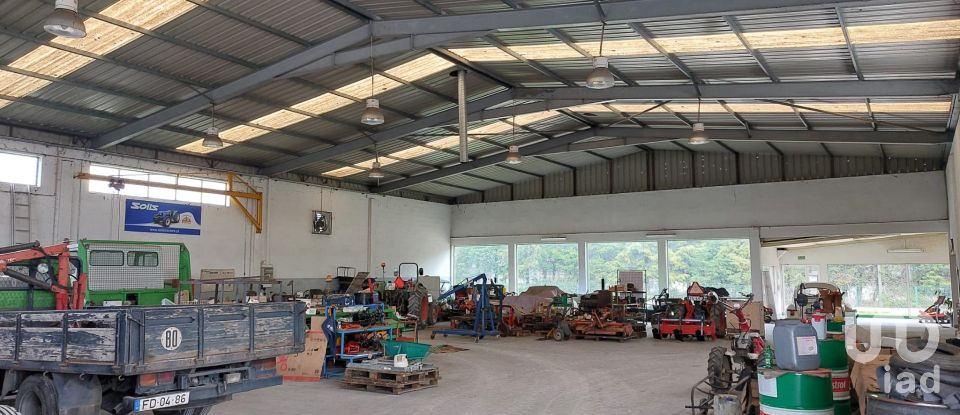 Boutique/Local commercial à Cantanhede e Pocariça de 828 m²