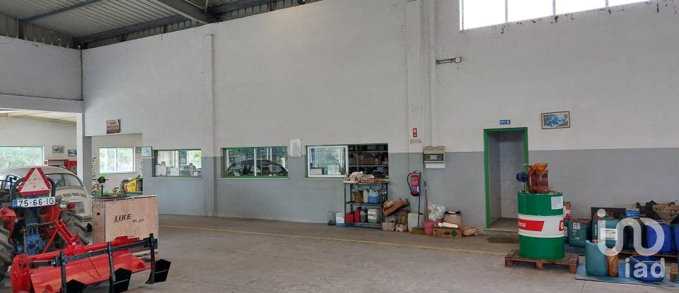 Boutique/Local commercial à Cantanhede e Pocariça de 828 m²