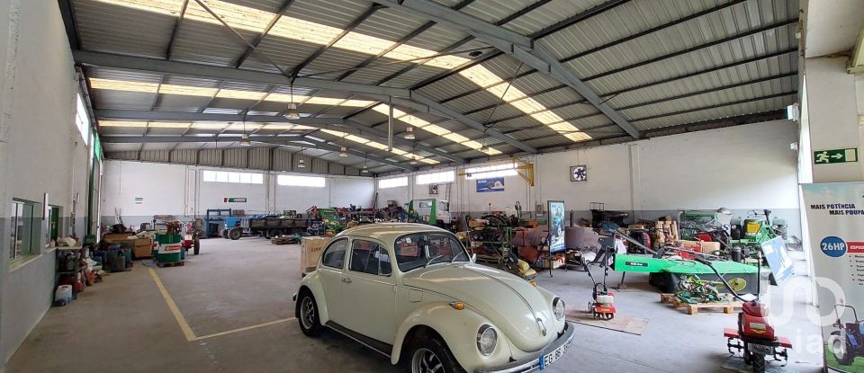 Boutique/Local commercial à Cantanhede e Pocariça de 828 m²